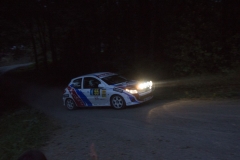 Rali San Froilán 2014